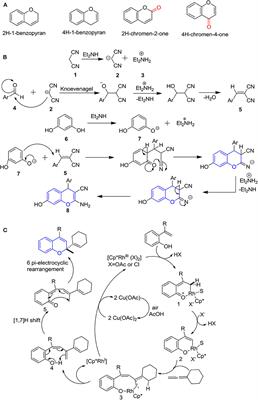 2H/4H-Chromenes—A Versatile Biologically Attractive Scaffold